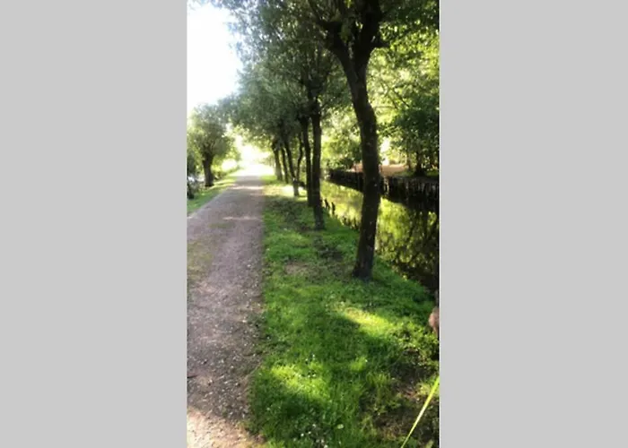 A Stylish In The Centre Of Town * Montreuil (Pas-de-Calais)